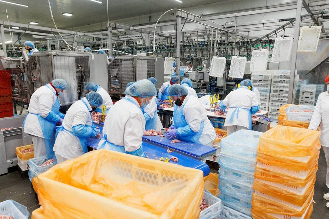Работник на завод по производству мясных продуктов BIOVELA
