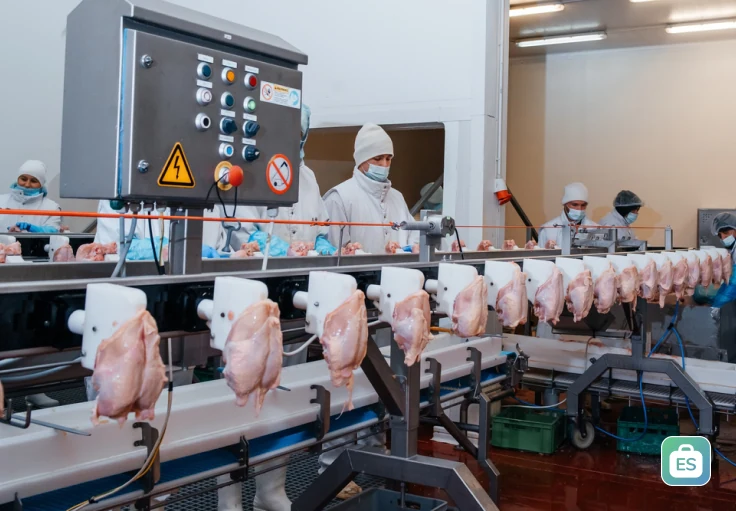 Работник на обработку куриных бедрышек Plukon Ommel BV
